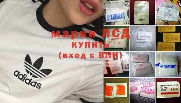 крисы Алзамай